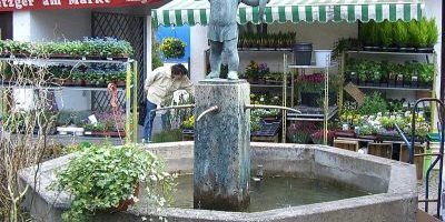 Fischbrunnen (West 2)