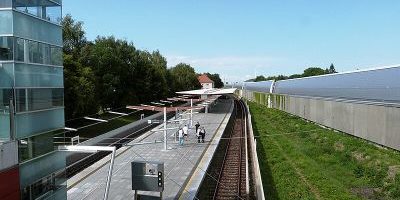 Freimann