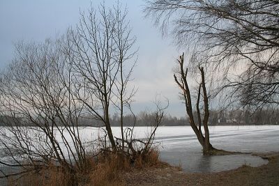 Graßlfinger Moos und Olchinger See