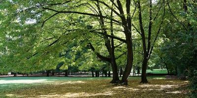 Grünwaldpark