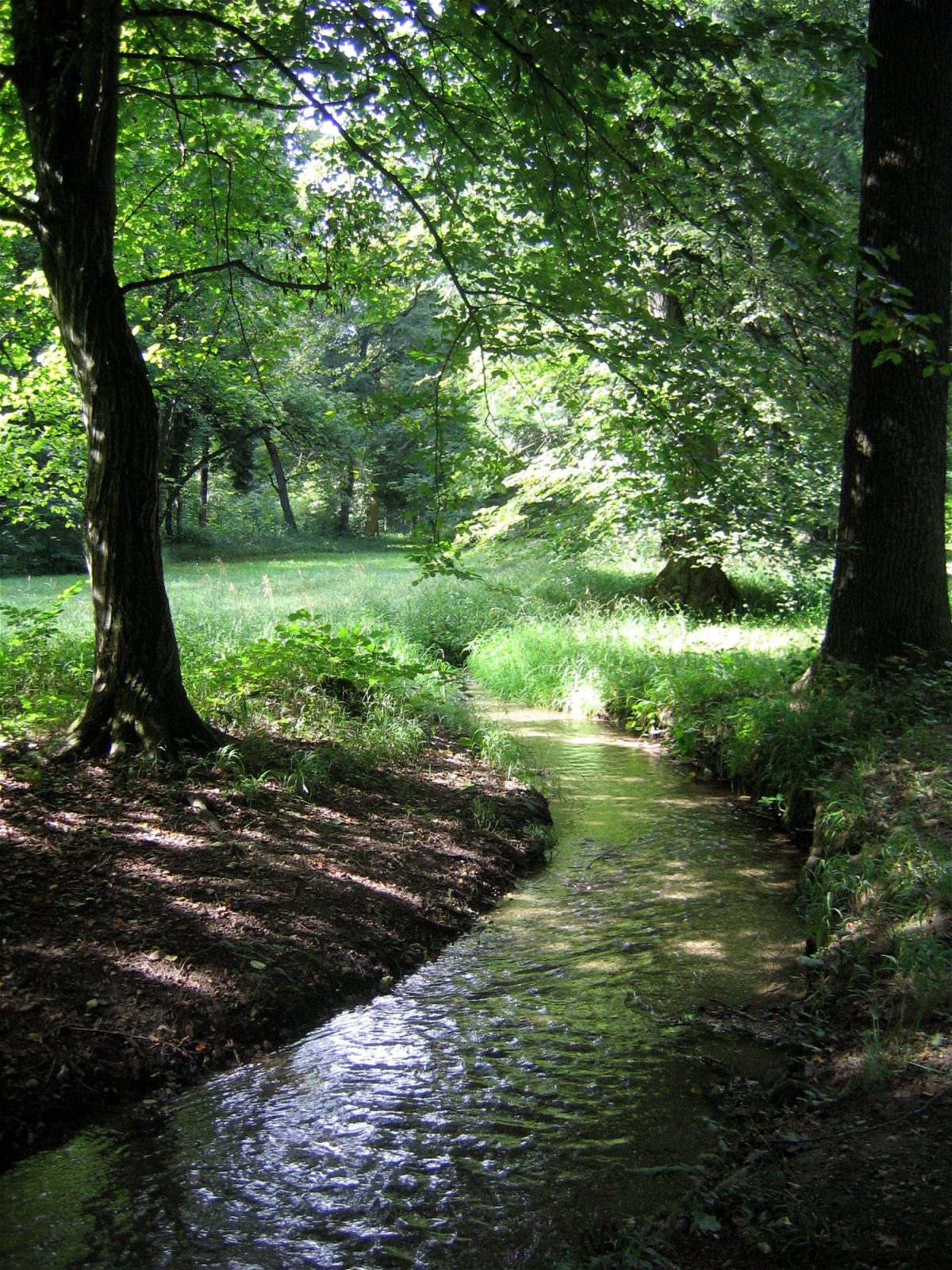 Grünzug Hartmannshofer Bach
