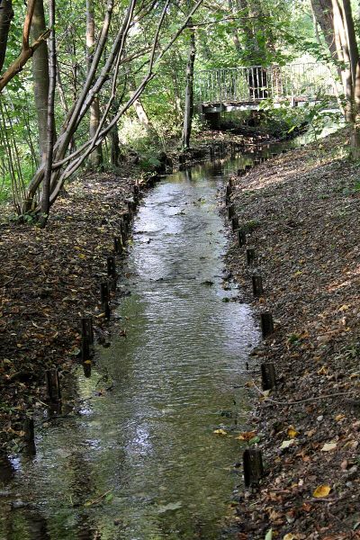 Harlachinger Quellbach