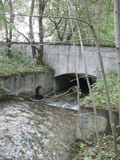 Kalterbach