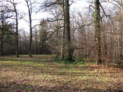 Kapuzinerhölzl