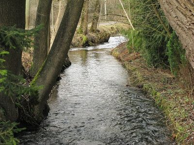 Langwieder See