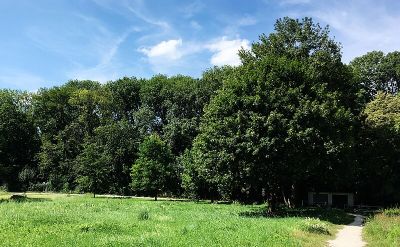 Lochholz