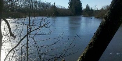 Moosschwaiger Weiher