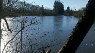Moosschwaiger Weiher