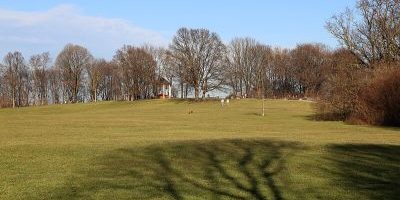 Neuhofener Berg