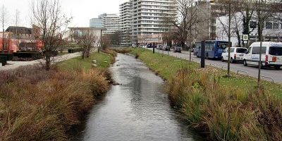 Nymphenburg-Biedersteiner Kanal