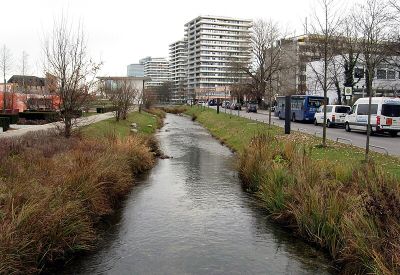 Nymphenburg-Biedersteiner Kanal