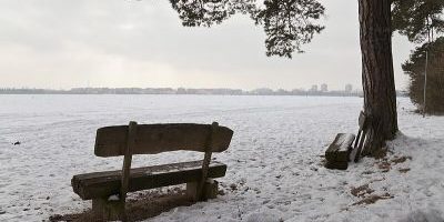 Panzerwiese und Hartelholz
