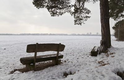 Panzerwiese und Hartelholz