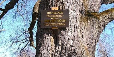 Röth-Linde