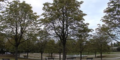 Rosa-Luxemburg-Platz