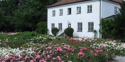 Rosengarten, Schaugärten an der Sachsenstraße