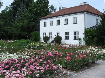Rosengarten, Schaugärten an der Sachsenstraße