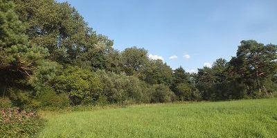 Schwarzhölzl