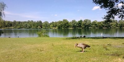 Schwarzhölzl mit Würmkanal und Feldmochinger See