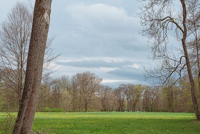 Siebenbuchenwiese