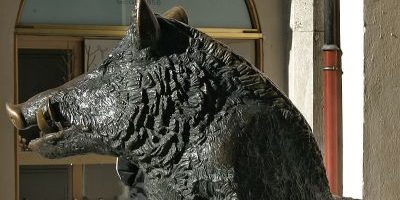 Sitting Boar