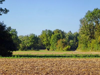 Triftwiesen Germering