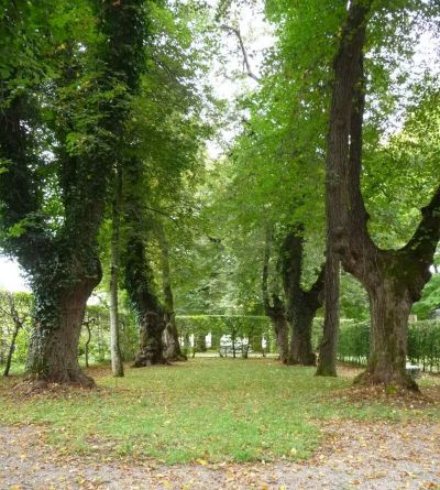 Waldfriedhof, Schloss Fürstenried und Sendlinger Wald