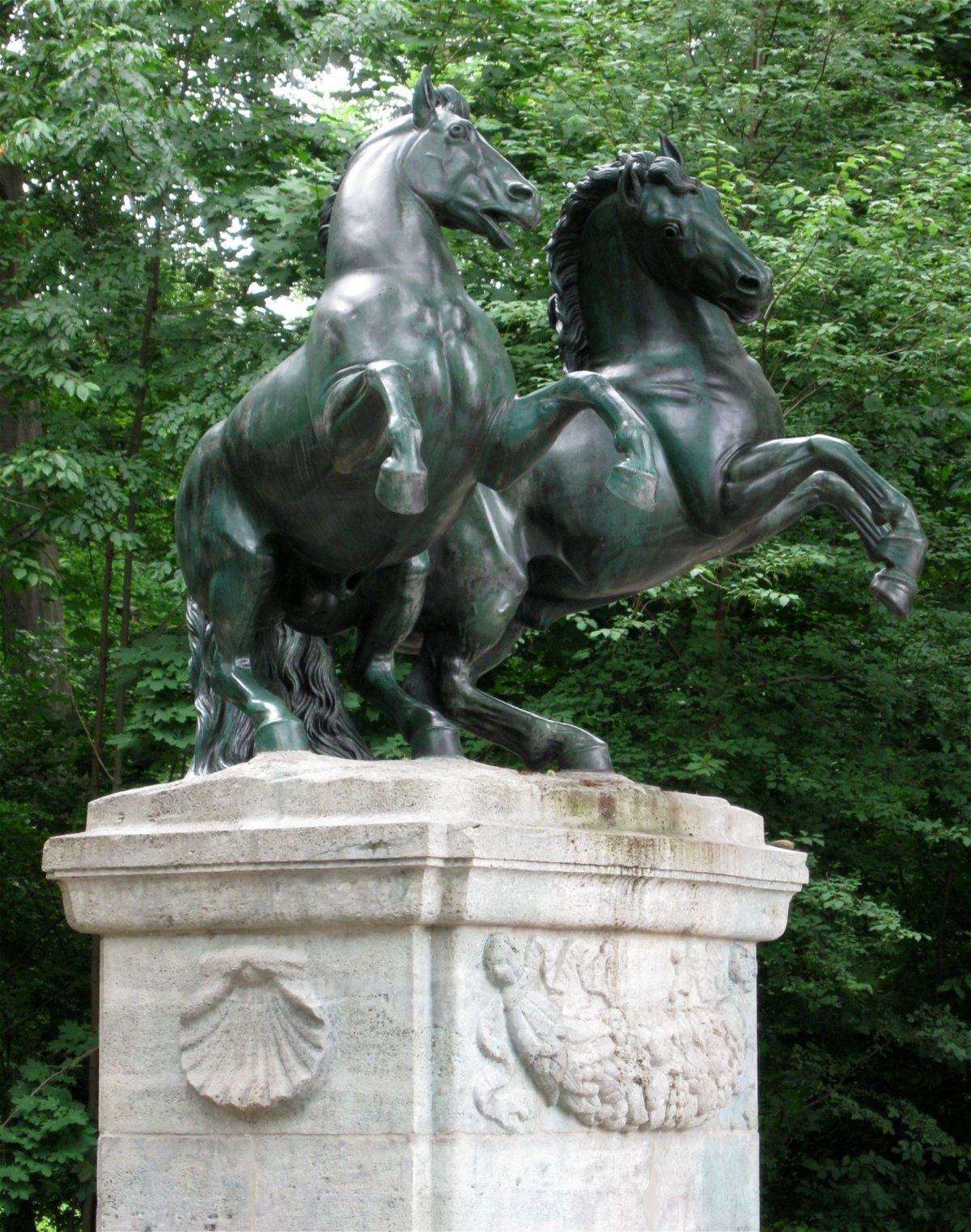 Wilde Pferde