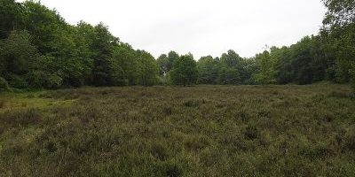 Bonnenkamp