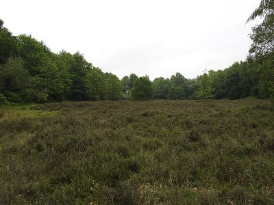 Bonnenkamp