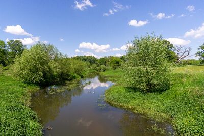 Emsaue bei Telgte