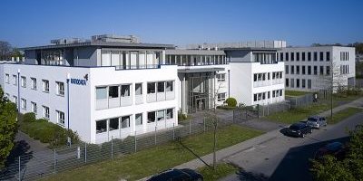 Friedenskastanie