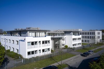 Friedenskastanie