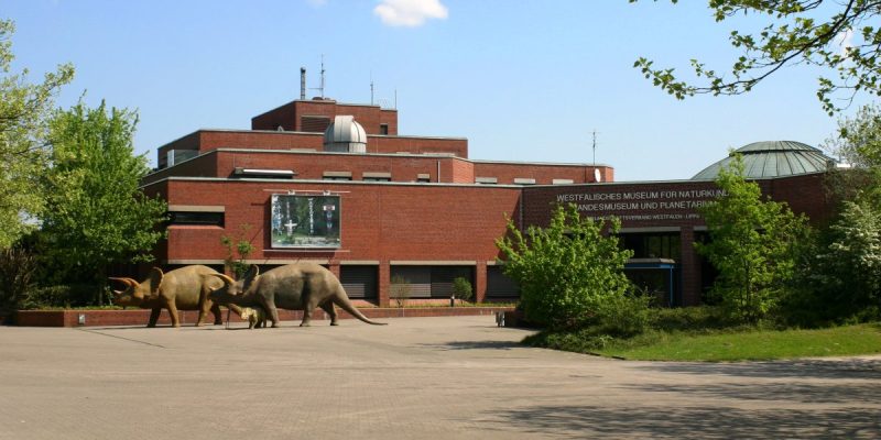 LWL-Museum für Naturkunde