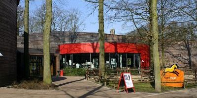 Pferdemuseum