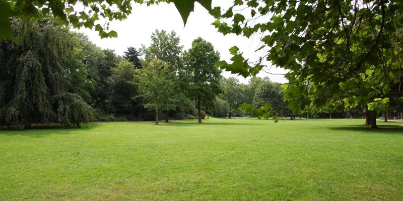 Südpark