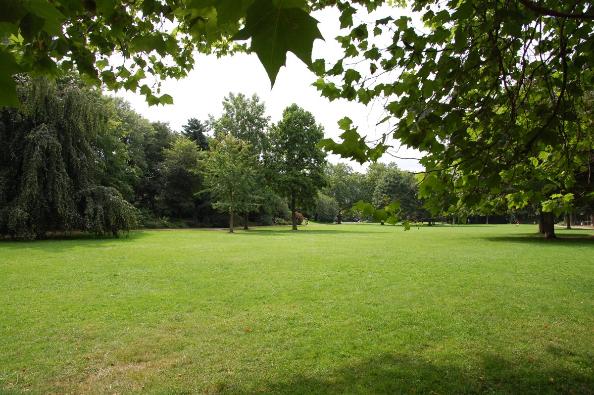 Südpark