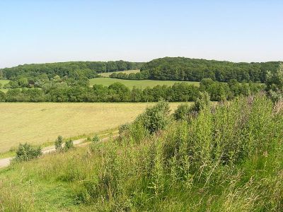 Vorbergs Hügel
