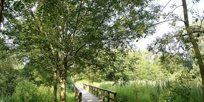 Wienburgpark