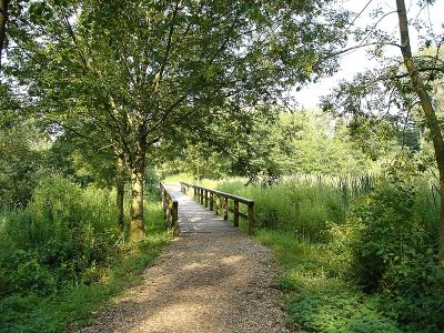 Wienburgpark