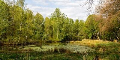 Wolbecker Tiergarten