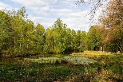 Wolbecker Tiergarten