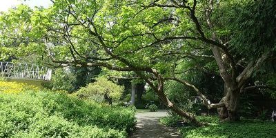 Botanischer Garten der Stadt Neuss