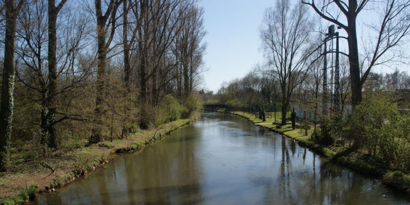 Erftmündung