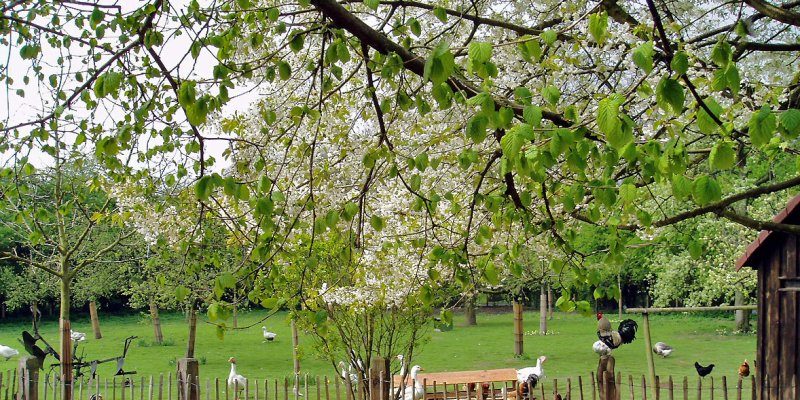 Selikumer Park