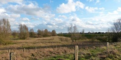 Uedesheimer Rheinbogen