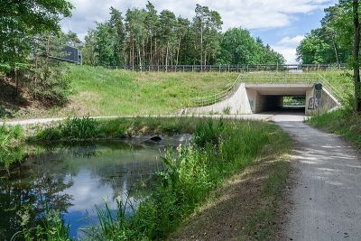 Bodendenkmal Erdbauten Forst Kleinschwarzenlohe, Ludwig-Donau-Main-Kanal