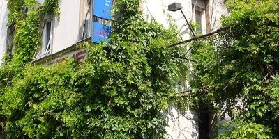 Gostner Hoftheater