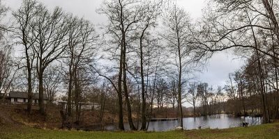 Langsee
