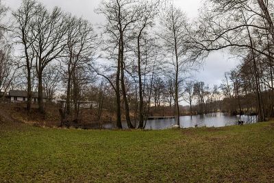 Langsee
